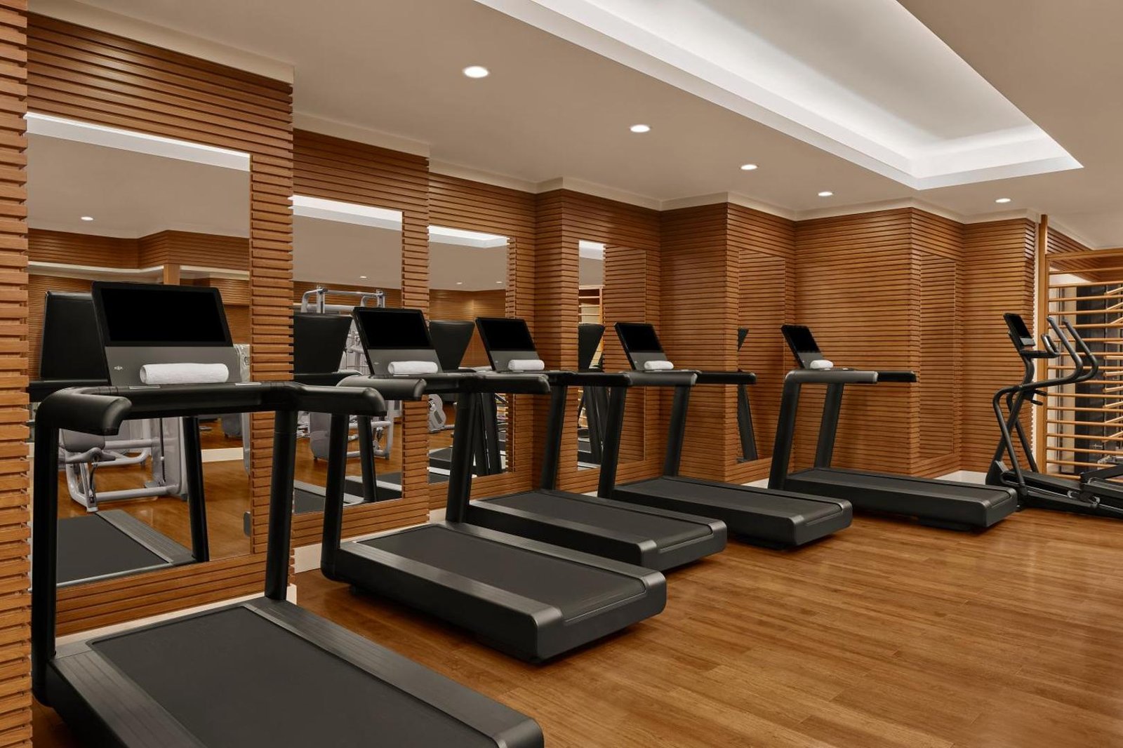 The Ritz-Carlton, Istanbul, wellness