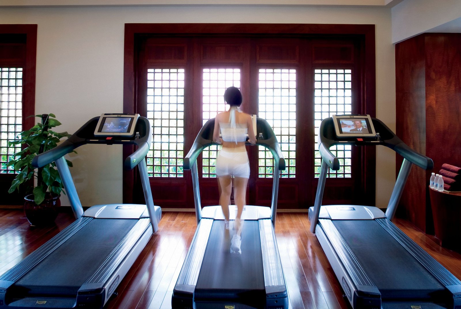The Ritz Carlton Sanya, wellness