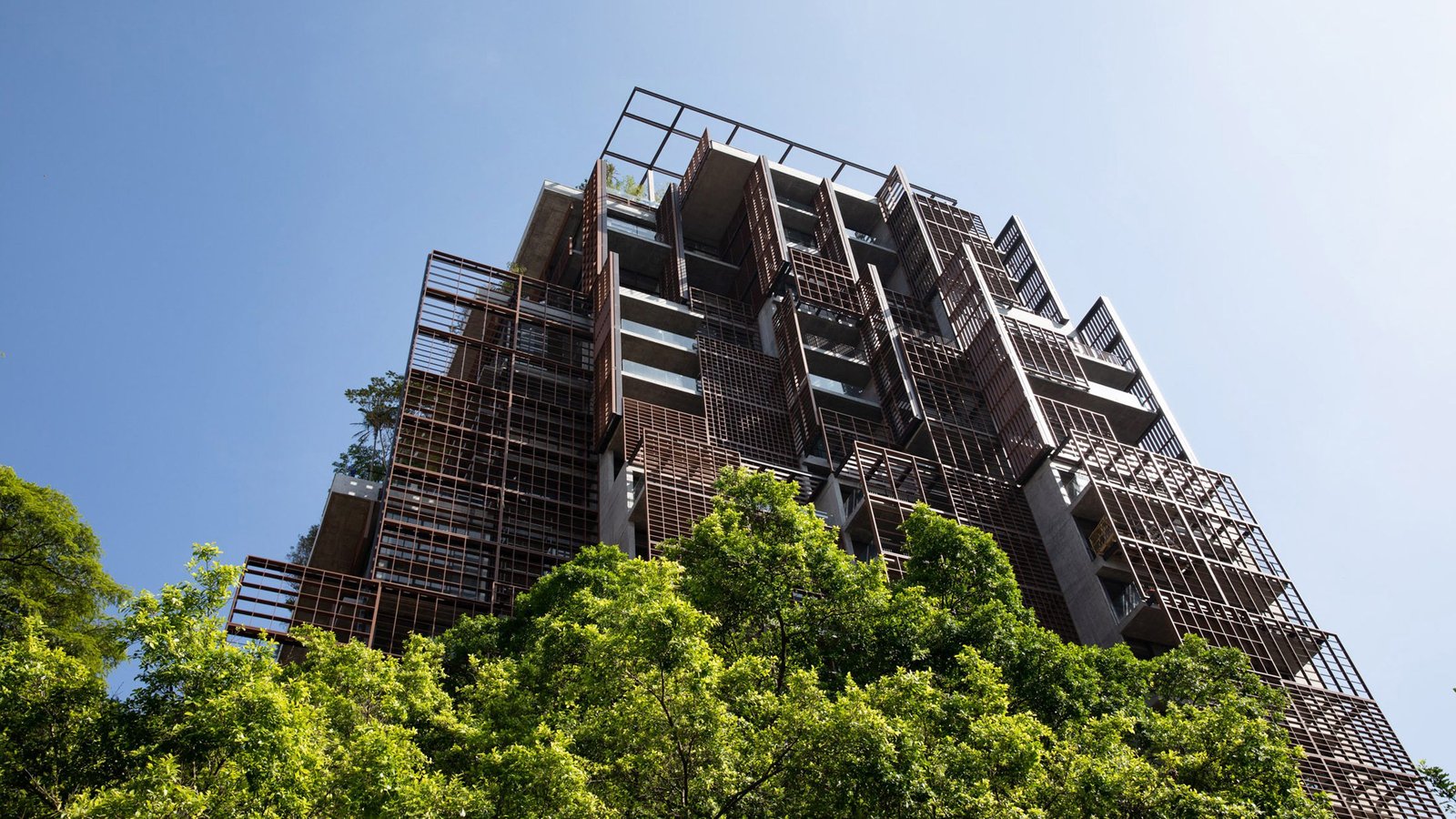 Torre Mata Atlântica - Rosewood, backstory