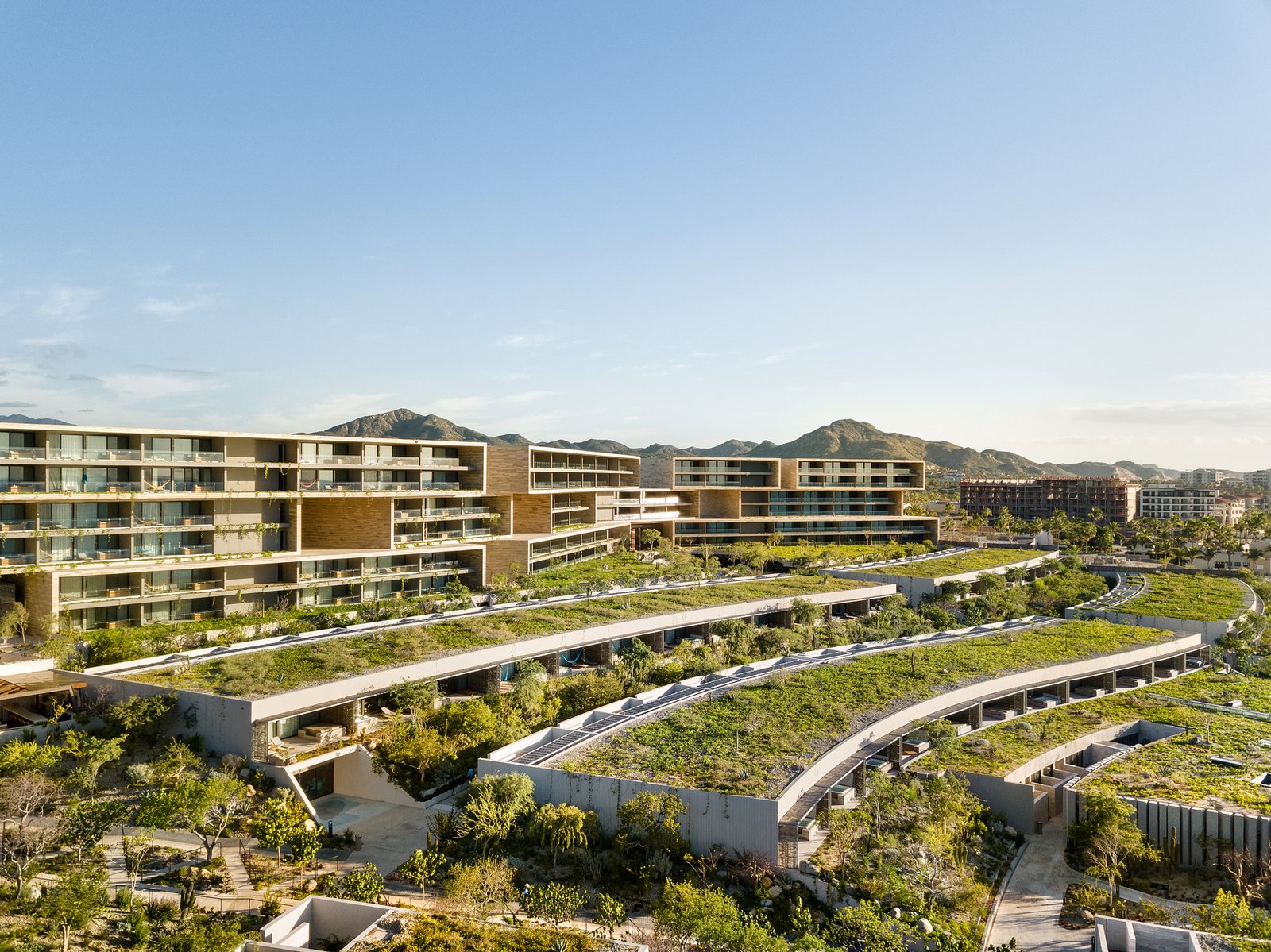 Solaz, a Luxury Collection Resort, Los Cabos