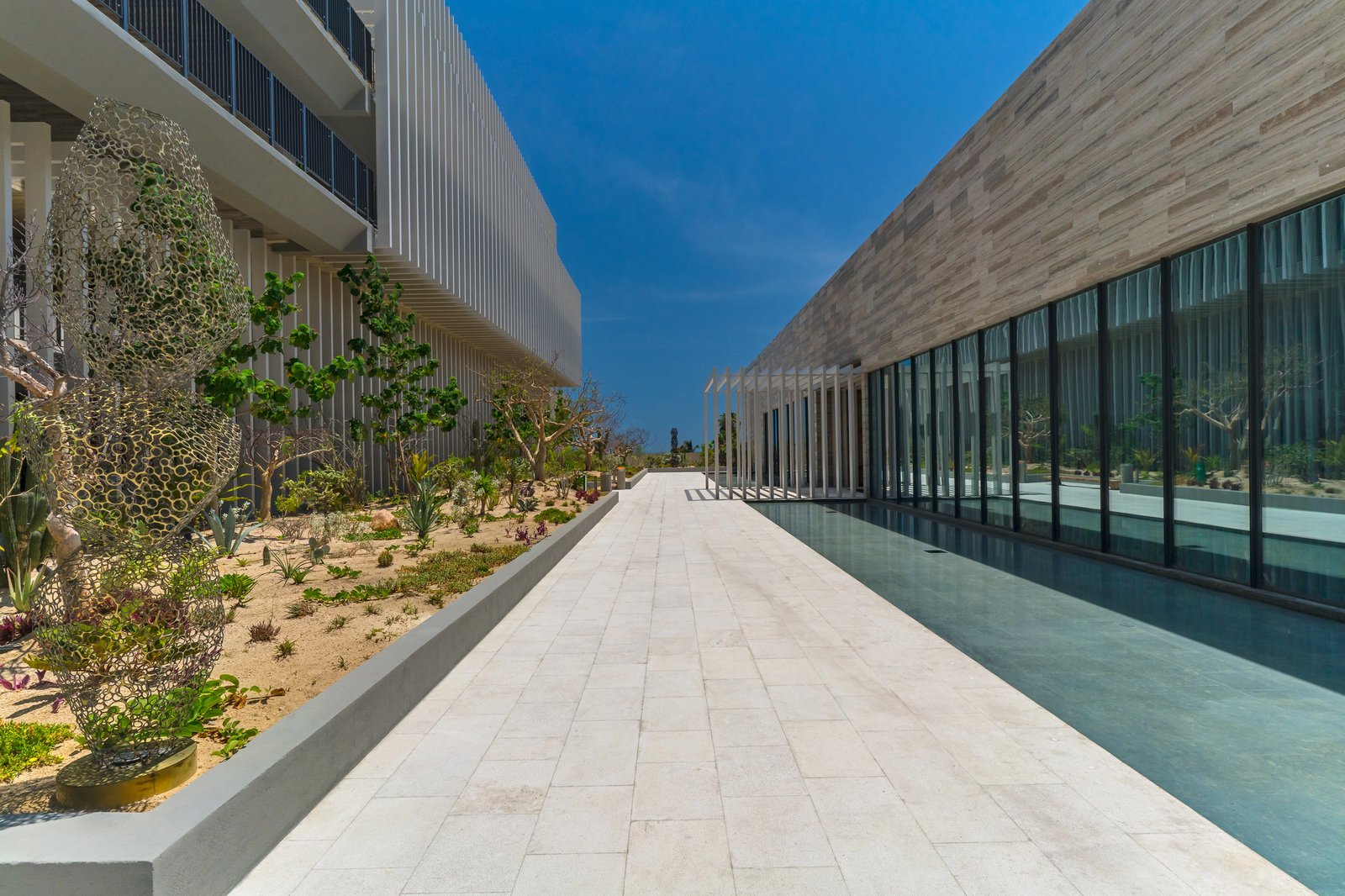 Solaz, a Luxury Collection Resort, Los Cabos, vibe
