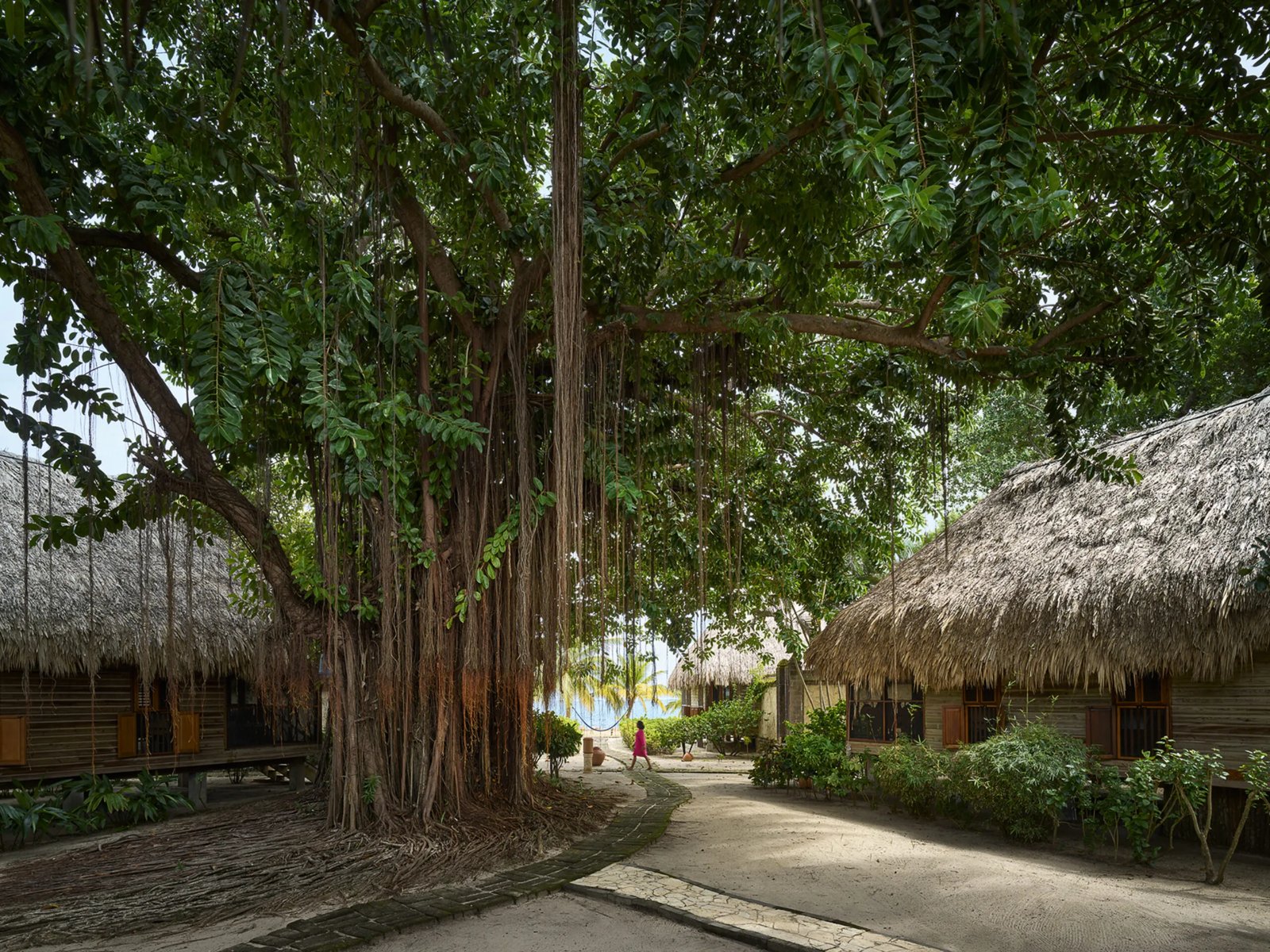 Turtle Inn