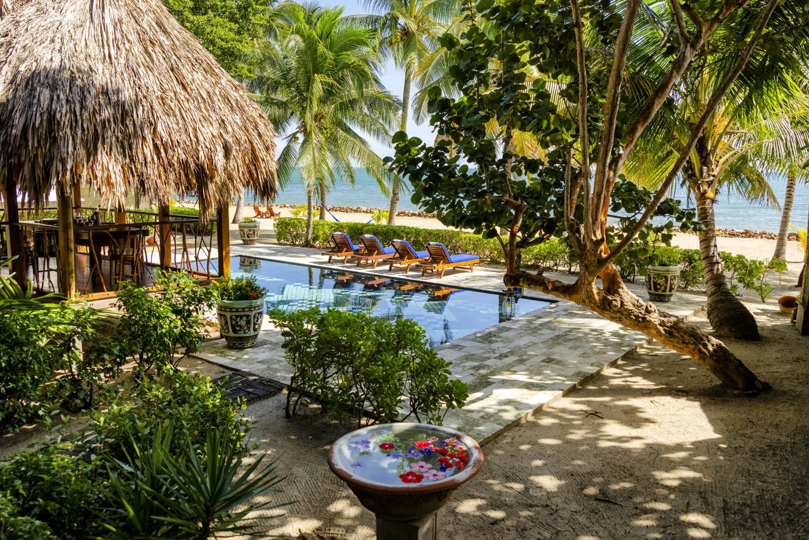 Turtle Inn, wellness