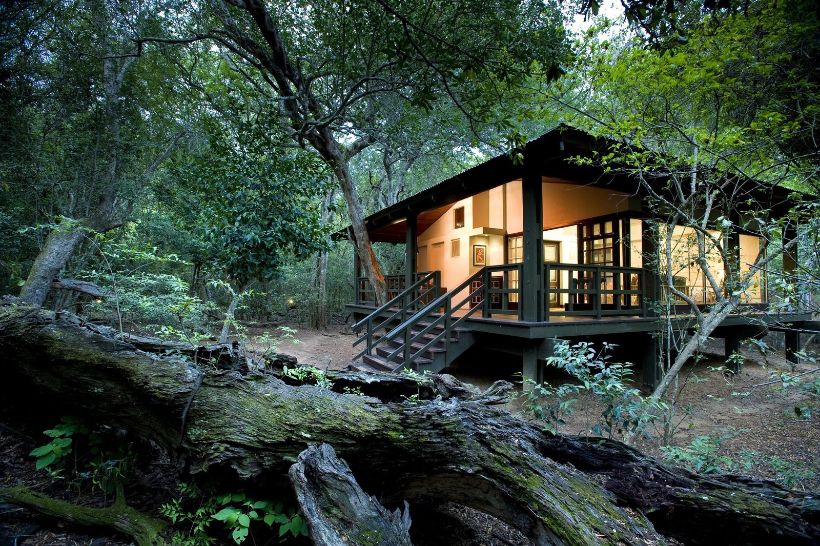 andBeyond Phinda Forest Lodge, backstory