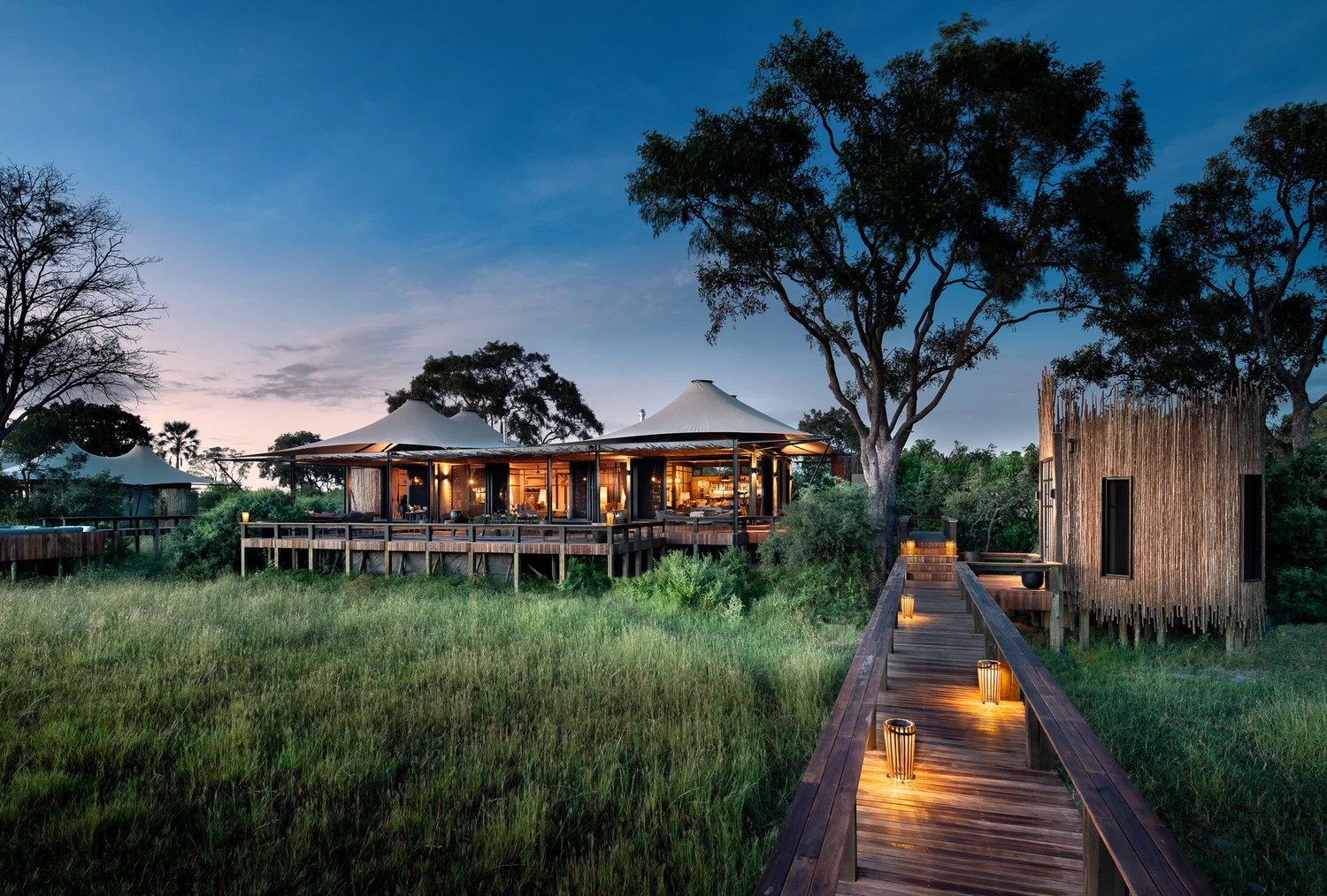 Daunara Safari Camp, backstory