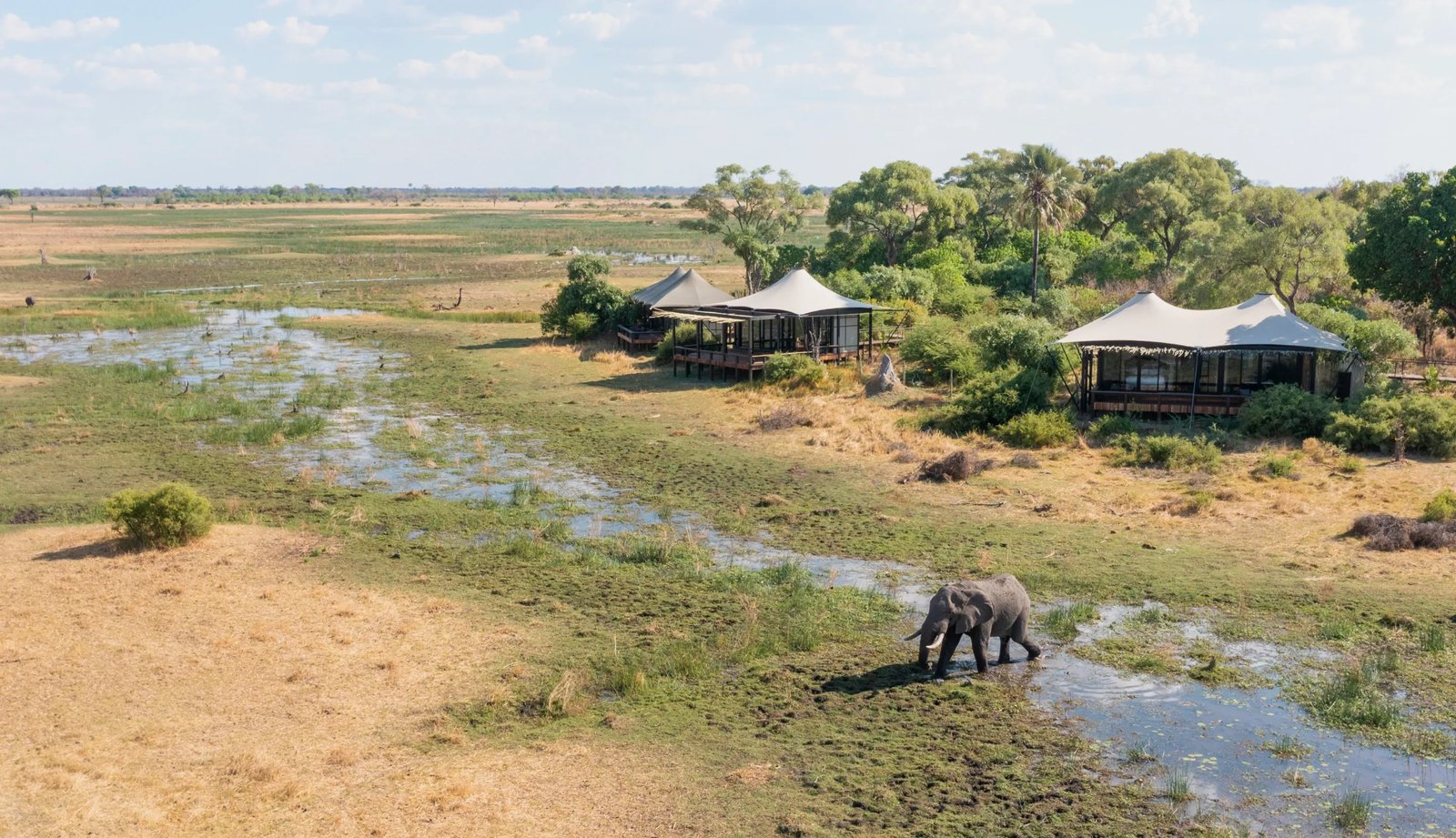 Daunara Safari Camp, backstory