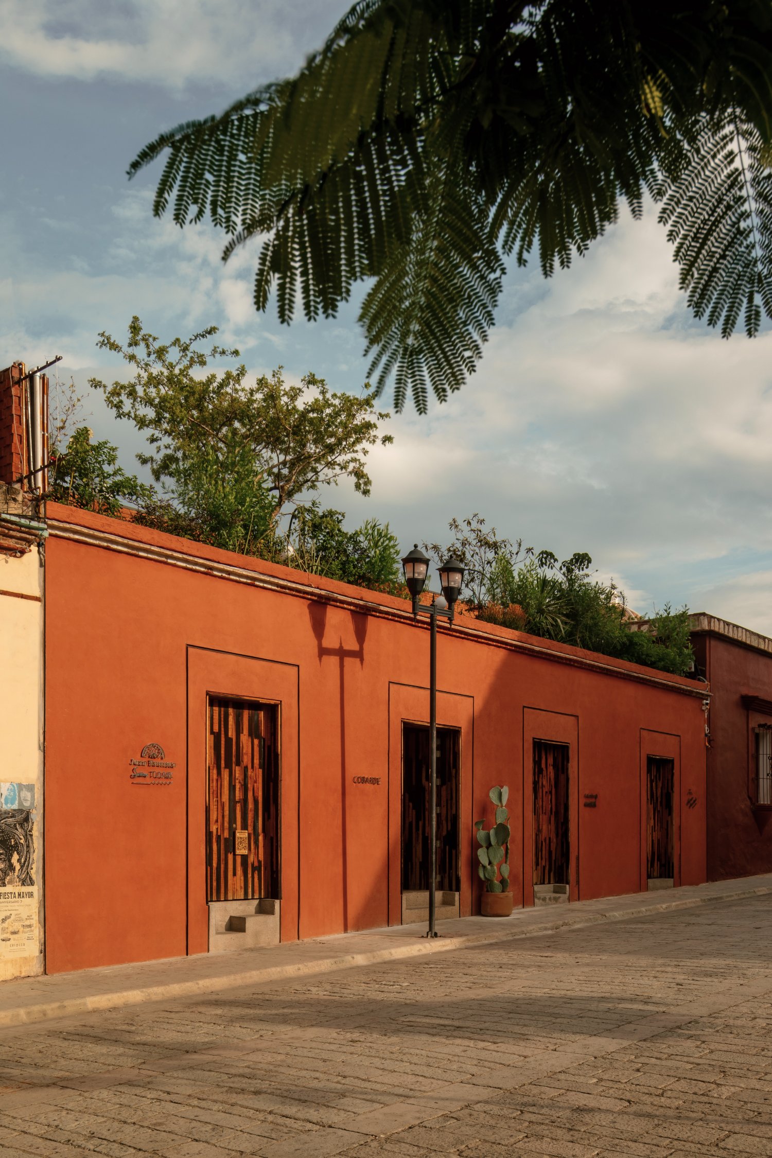 Otro Oaxaca, backstory