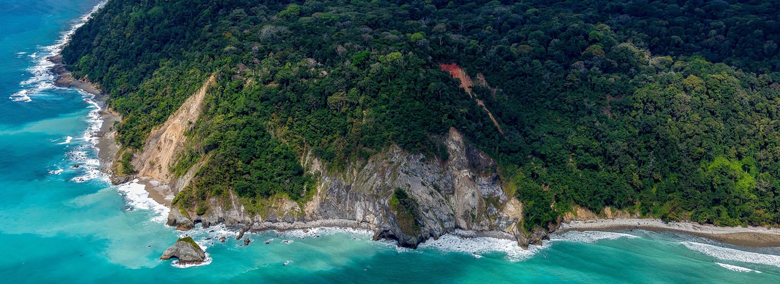 Botanika Osa Peninsula, Curio Collection by Hilton, vibe
