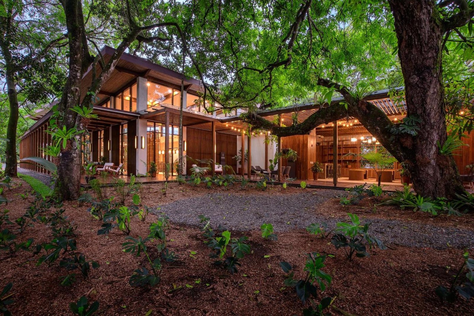 Botanika Osa Peninsula, Curio Collection by Hilton, backstory