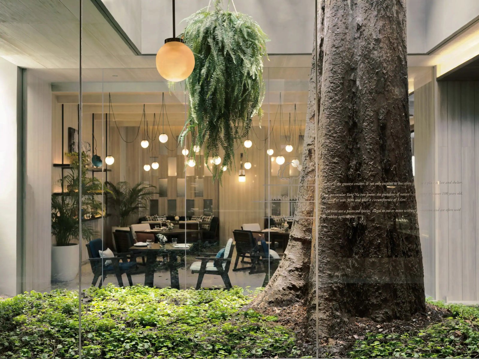 Hyatt Regency Koh Samui, eat & drink