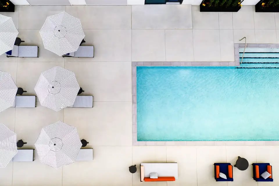 Le Méridien St. Louis Clayton, the pool