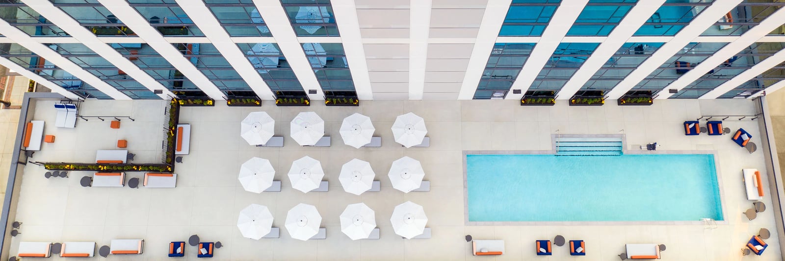 Le Méridien St. Louis Clayton, the pool