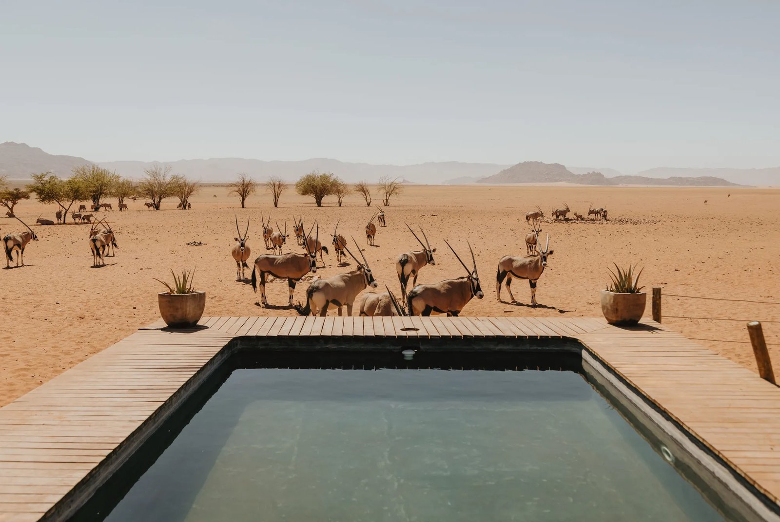 Kwessi Dunes, wellness