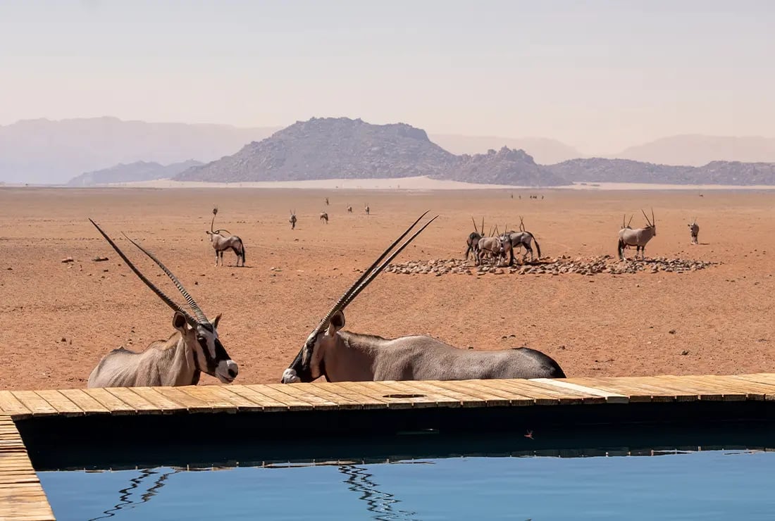 Kwessi Dunes, wellness