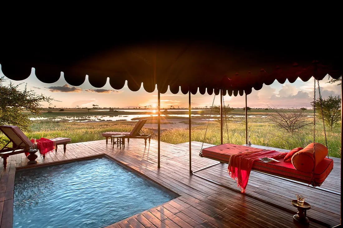 Jack's Camp, the pool
