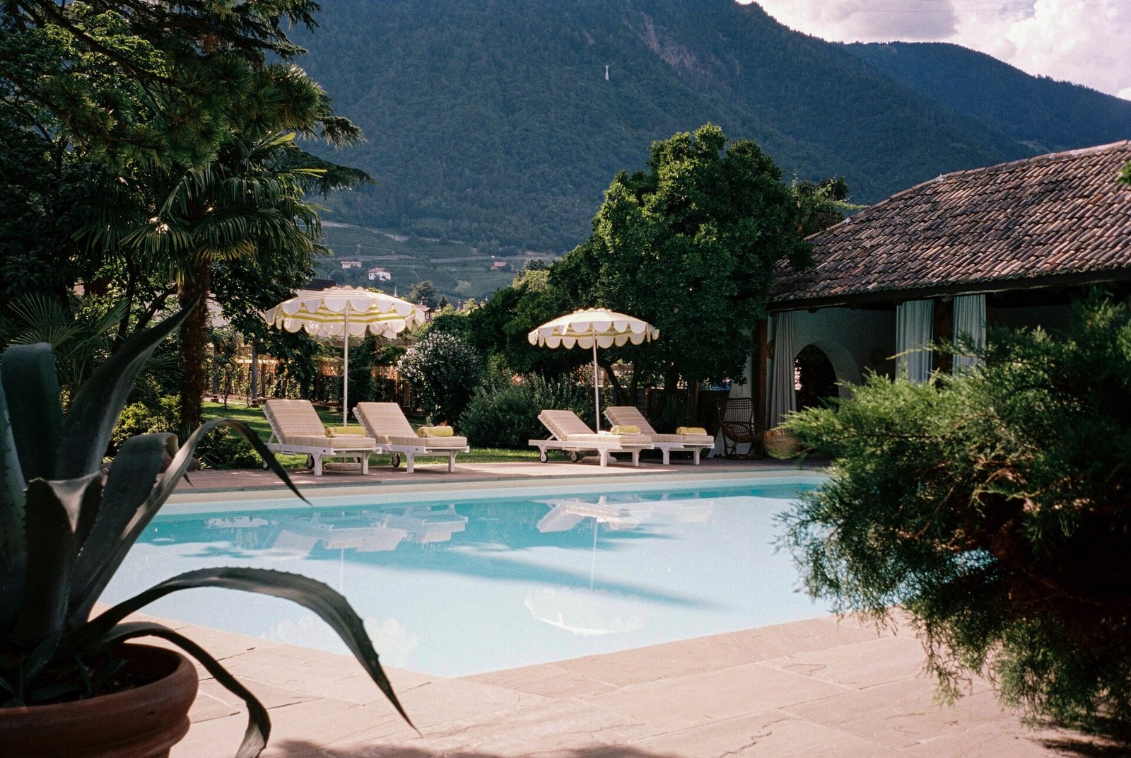 Villa Arnica, the pool