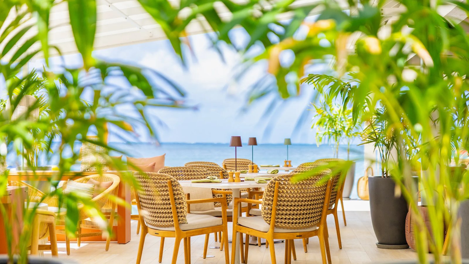 Curtain Bluff, the sea grape