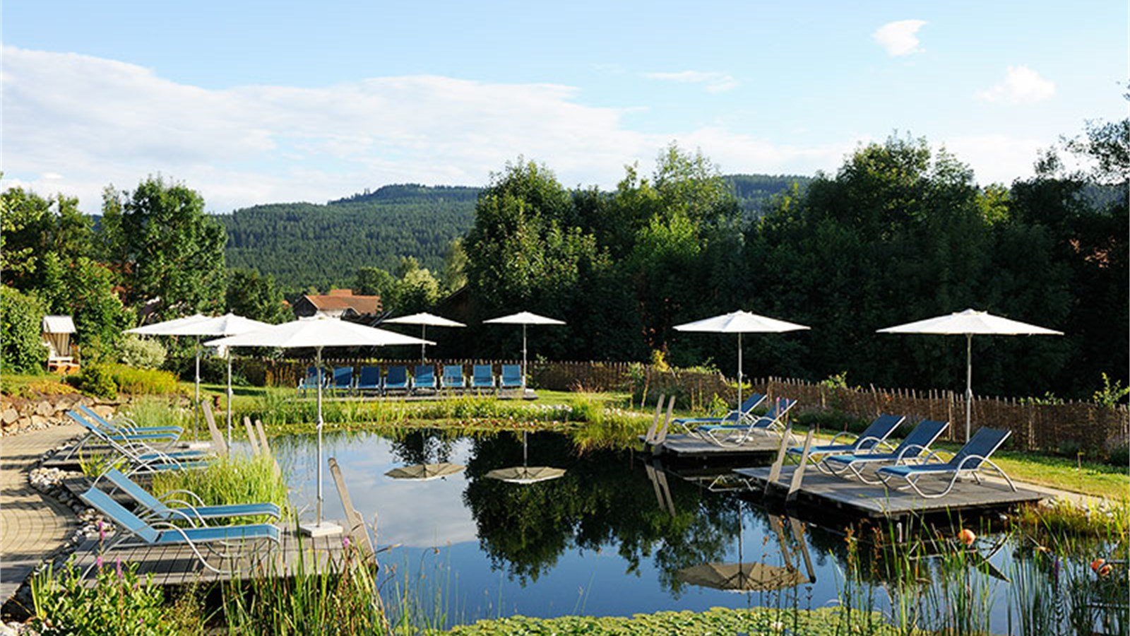 Hofgut Hafnerleiten, the pool