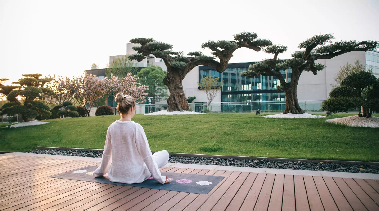The Anandi Hotel and Spa, wellness