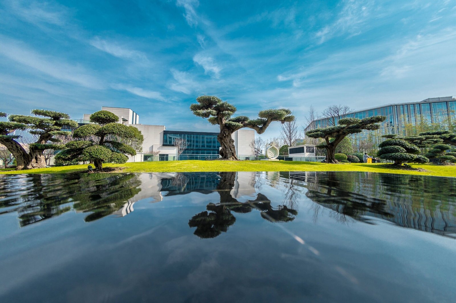 The Anandi Hotel and Spa, vibe