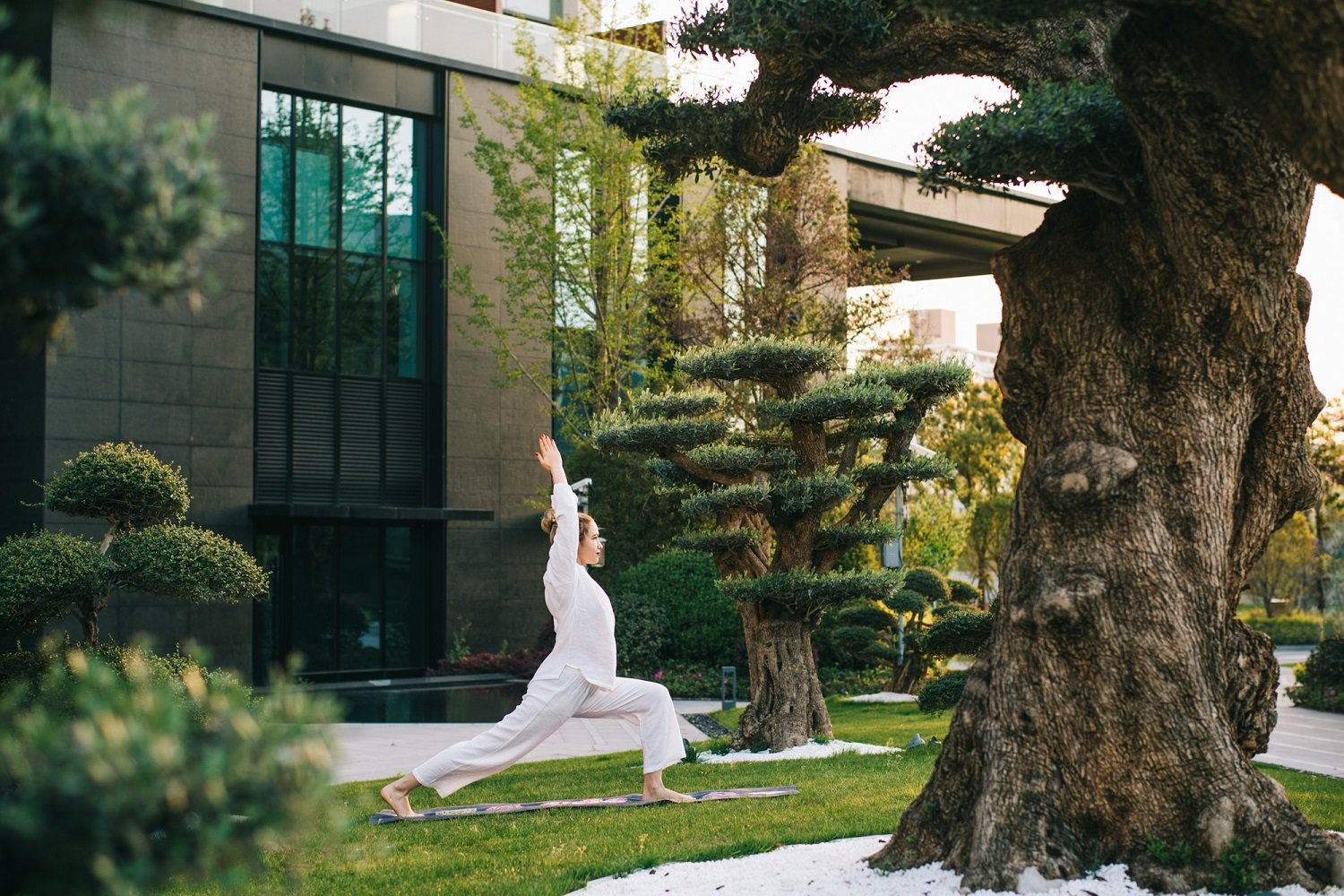 The Anandi Hotel and Spa, wellness