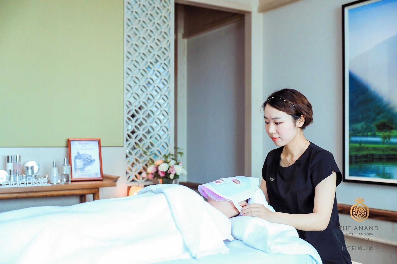 The Anandi Hotel and Spa, wellness