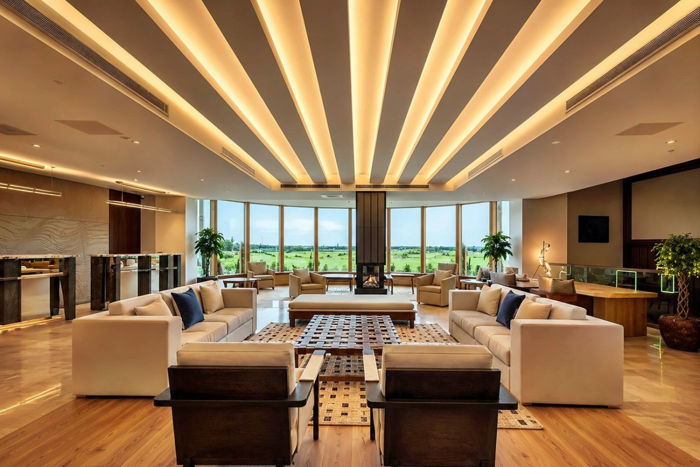 The Hawthorn by Galway Bay