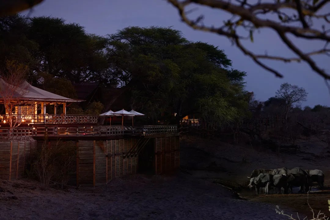 Savute Elephant Lodge, backstory