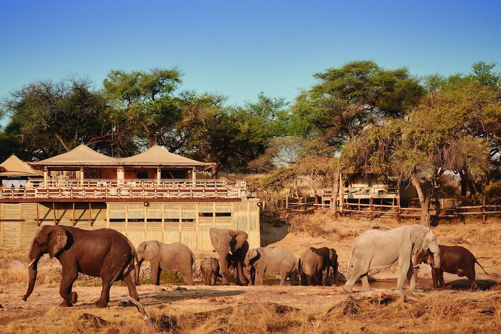 Savute Elephant Lodge, backstory