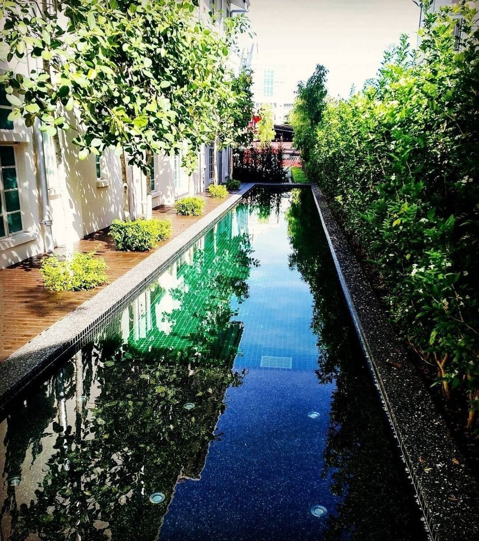 The Edison George Town, Penang, the pool