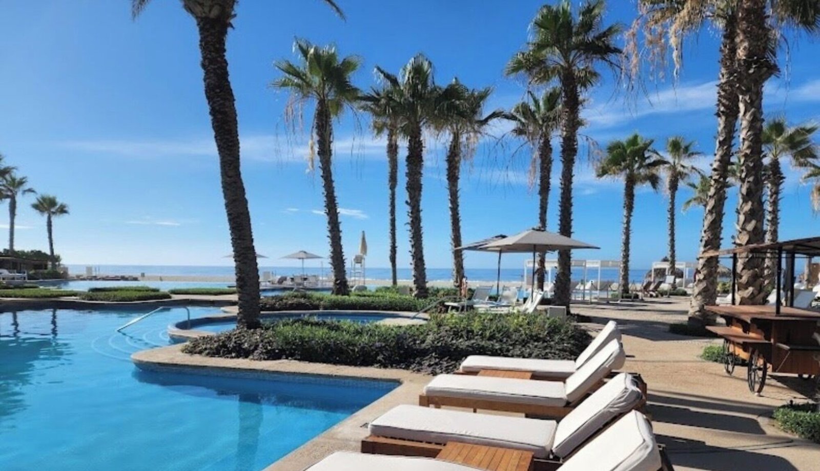 VIDANTA, wellness