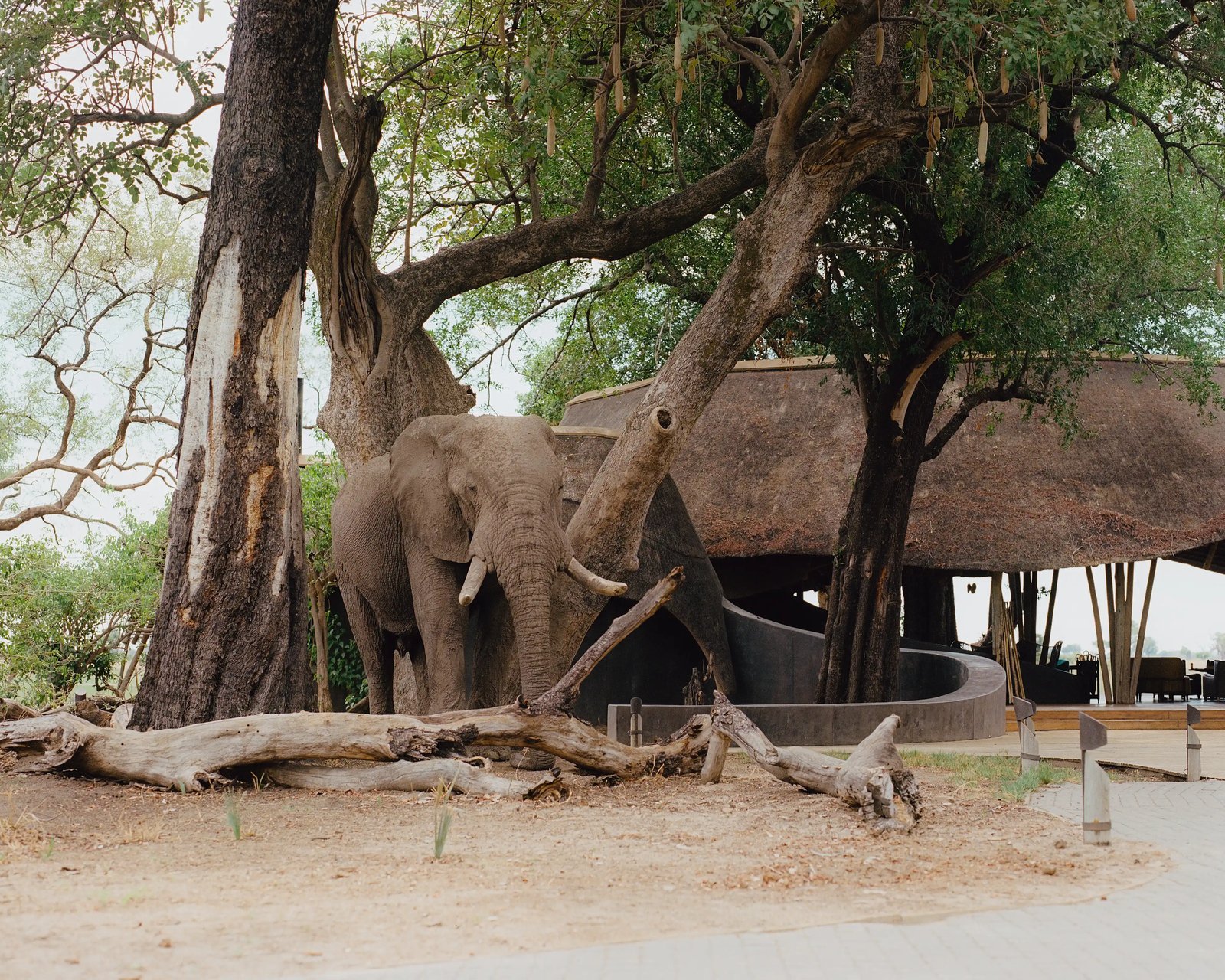 Eagle Island Lodge, vibe