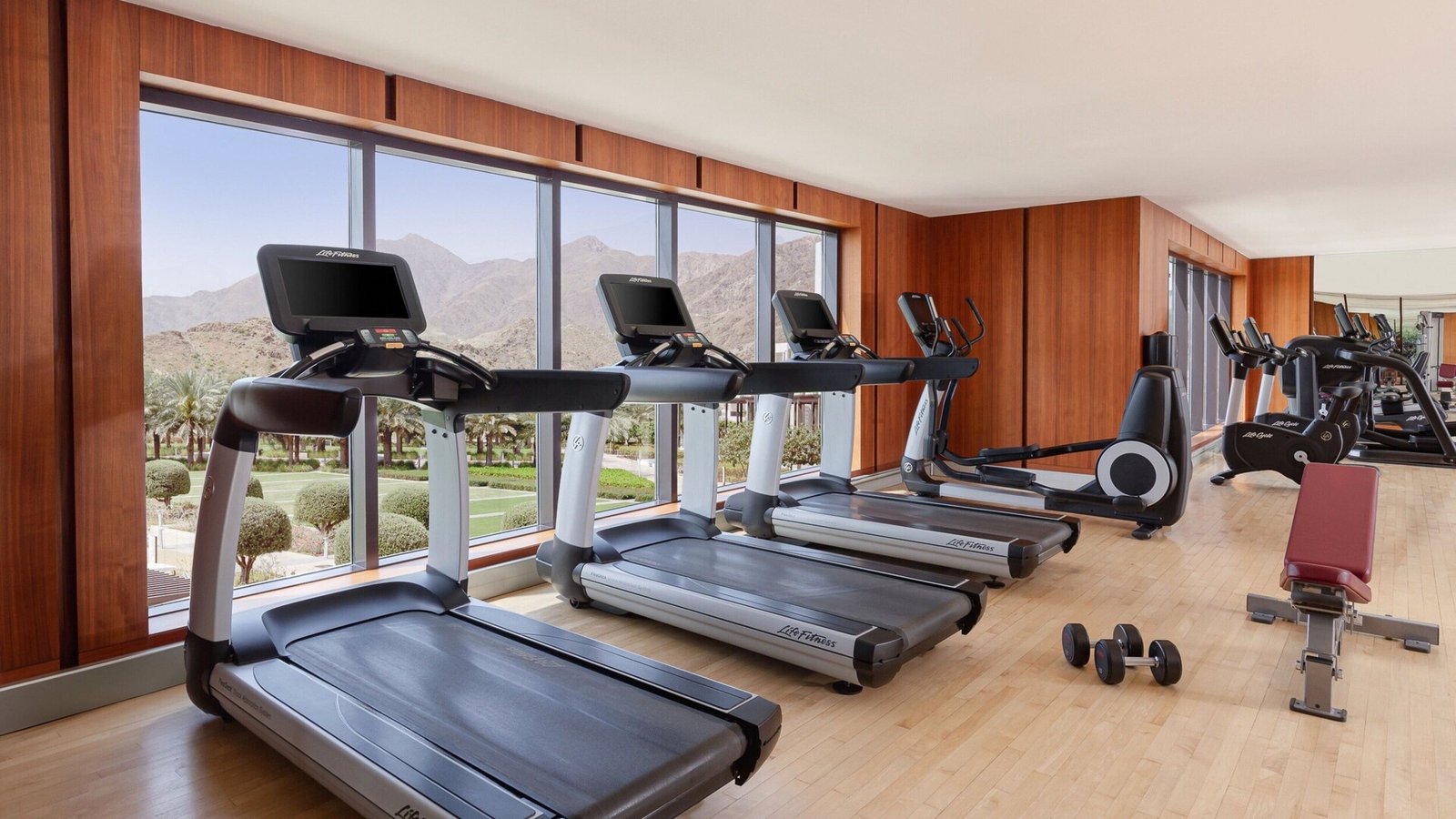 InterContinental Fujairah Resort by IHG, wellness