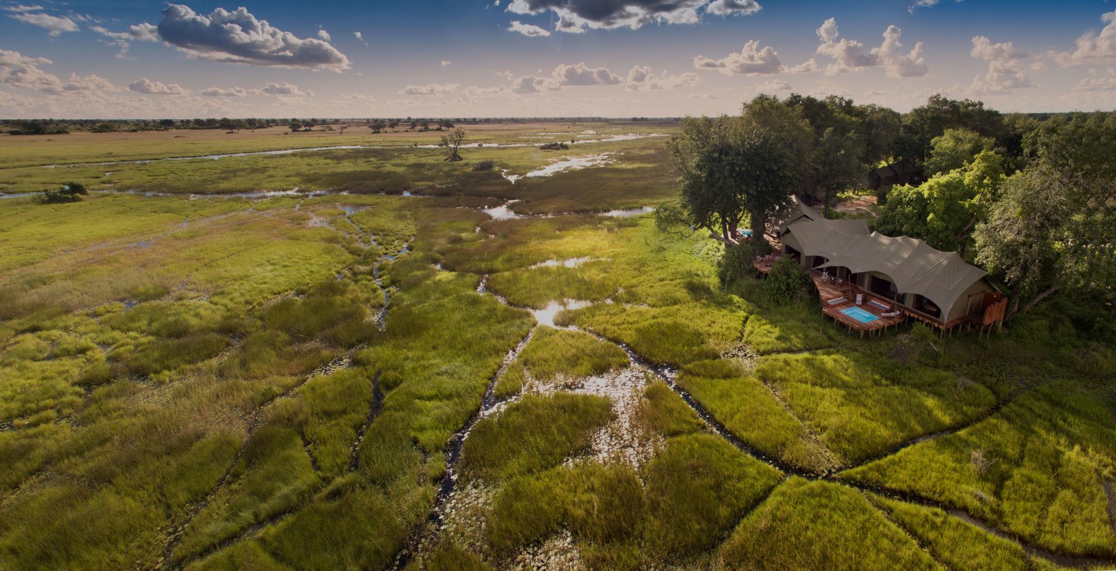 Duba Plains Camp, backstory