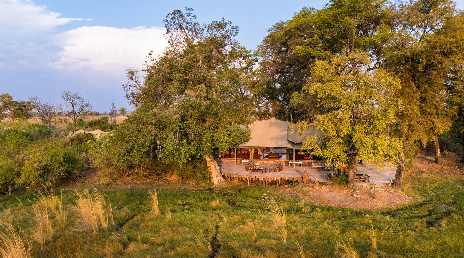 Duba Plains Camp, backstory