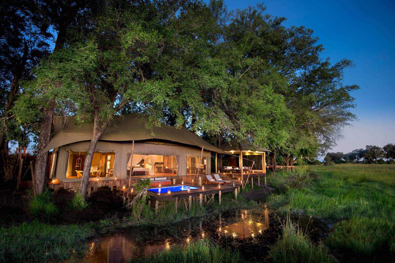 Duba Plains Camp, backstory