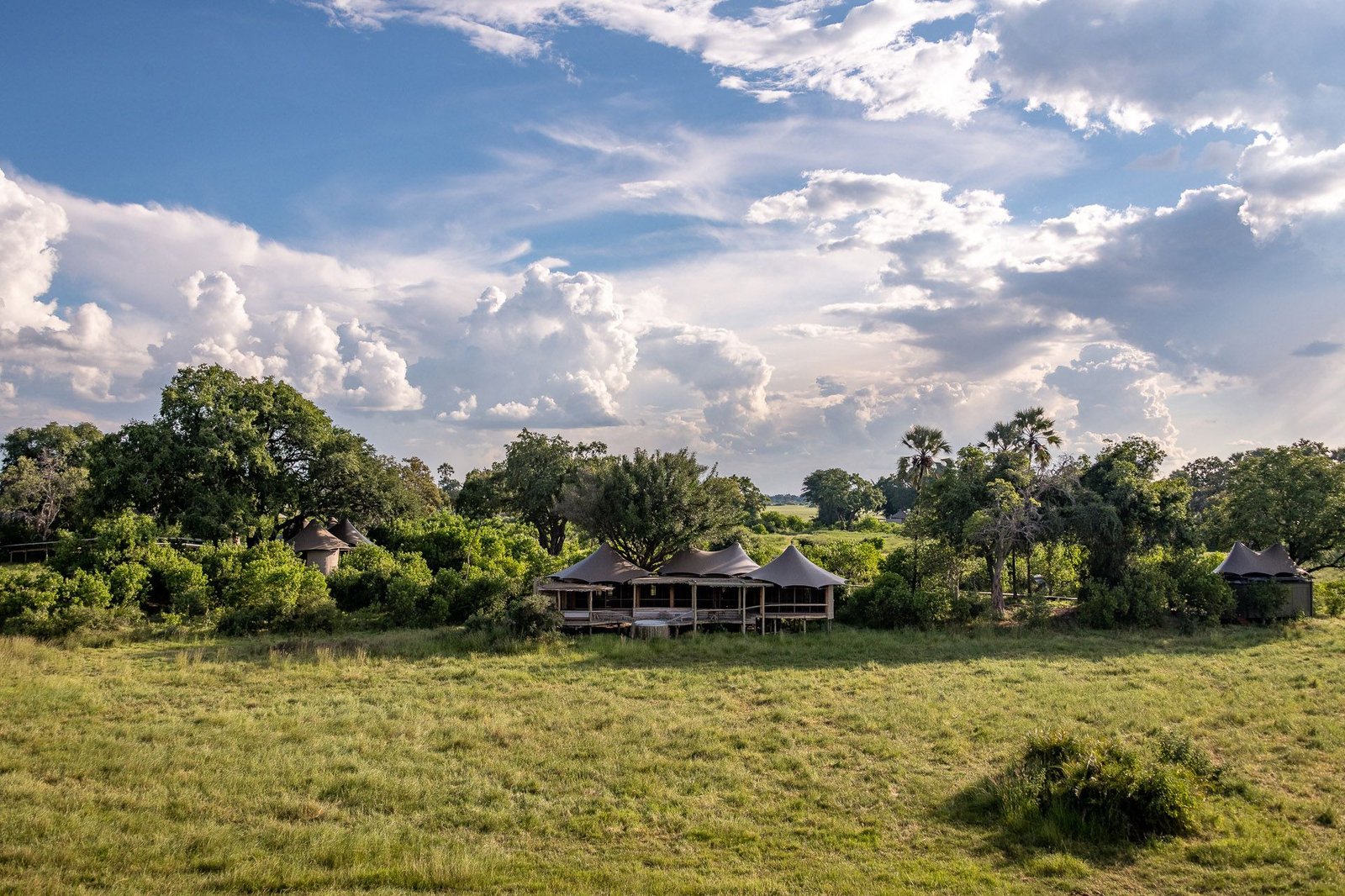 Little Mombo Camp, backstory