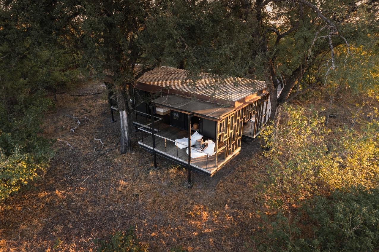 Wilderness Qorokwe, backstory