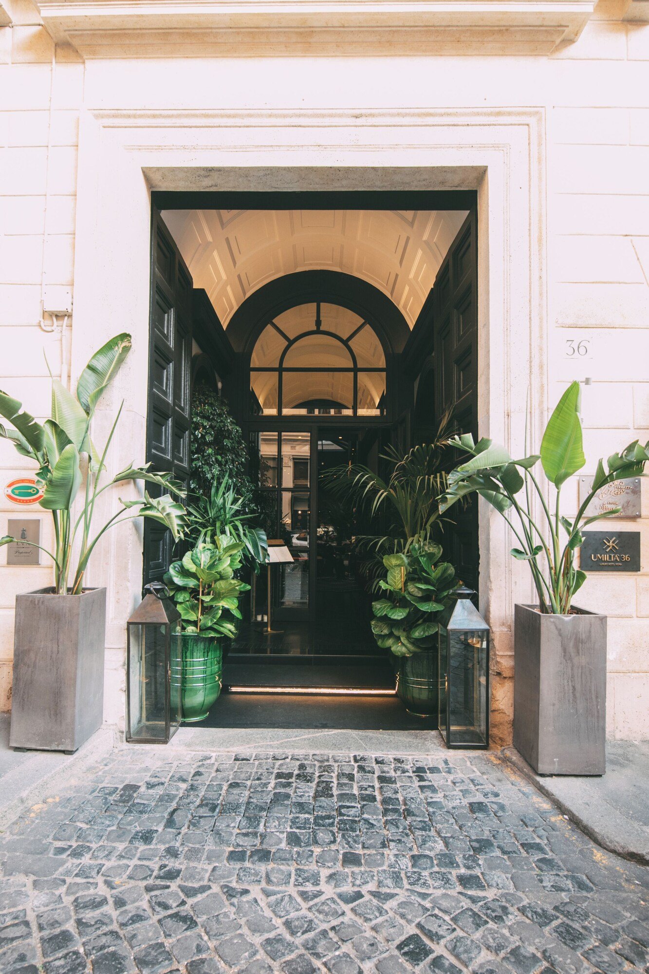 Umiltà 36 — backstory