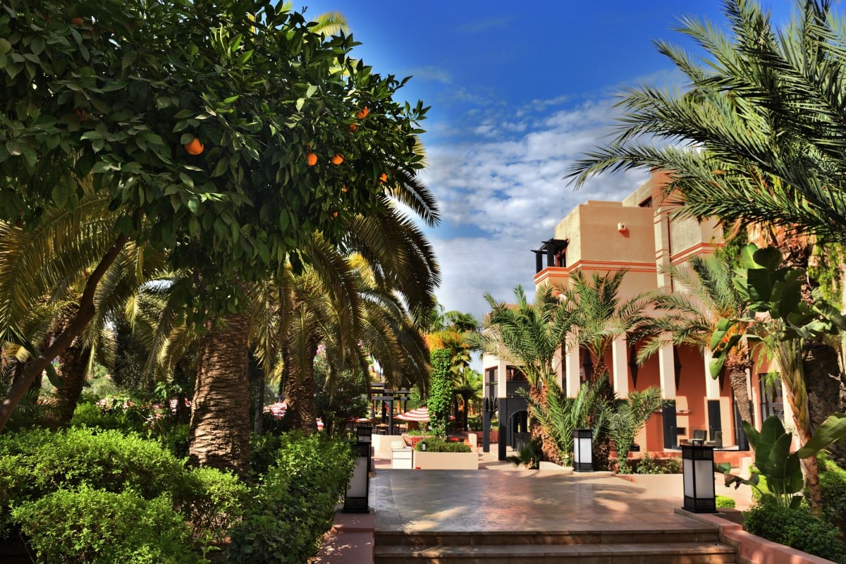 Movenpick Hotel Mansour Eddahbi, vibe