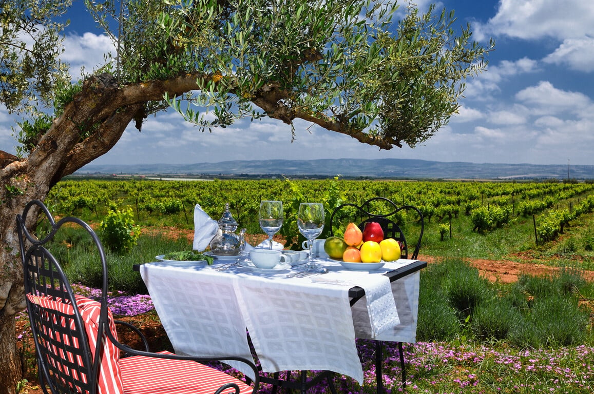 Château Roslane Boutique Hotel & Spa, at the table