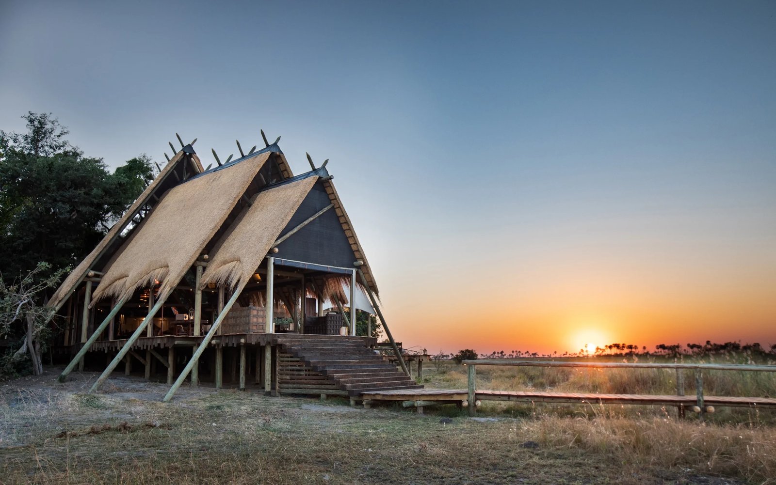 Selinda Camp, backstory