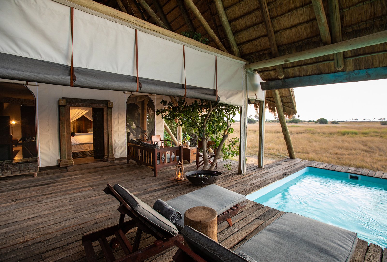 Selinda Camp, wellness