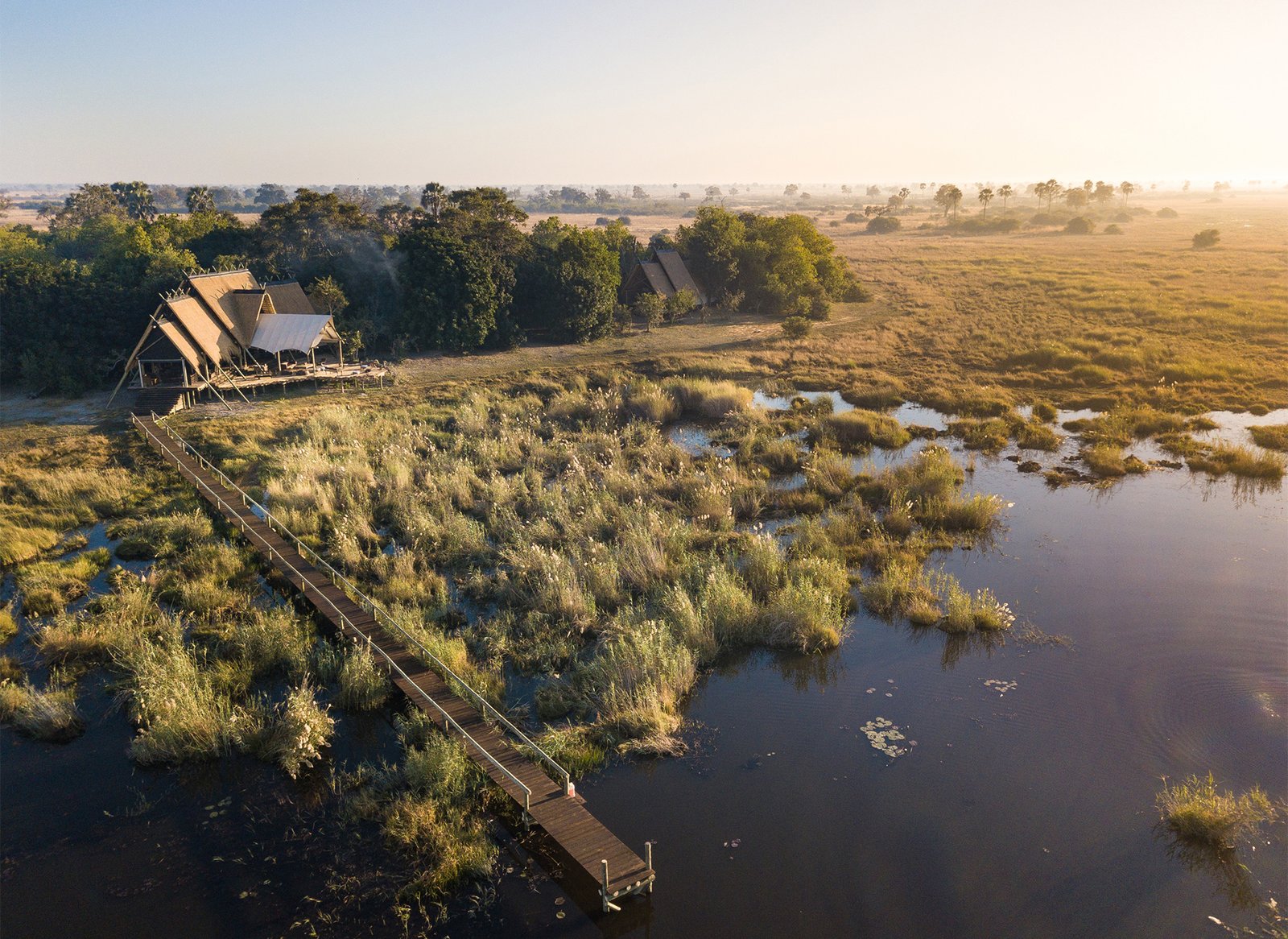 Selinda Camp, backstory