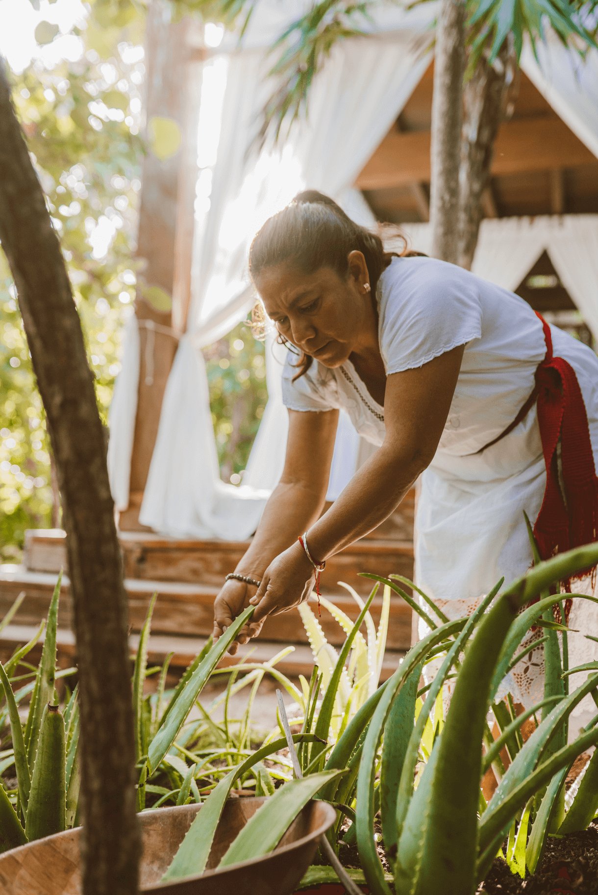 Jashita Hotel Tulum, wellness