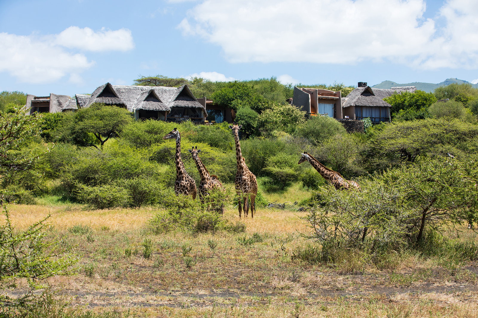 Ol Donyo Lodge, backstory
