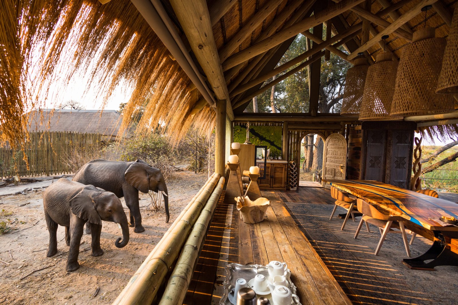 Sitatunga Private Island, eat & drink