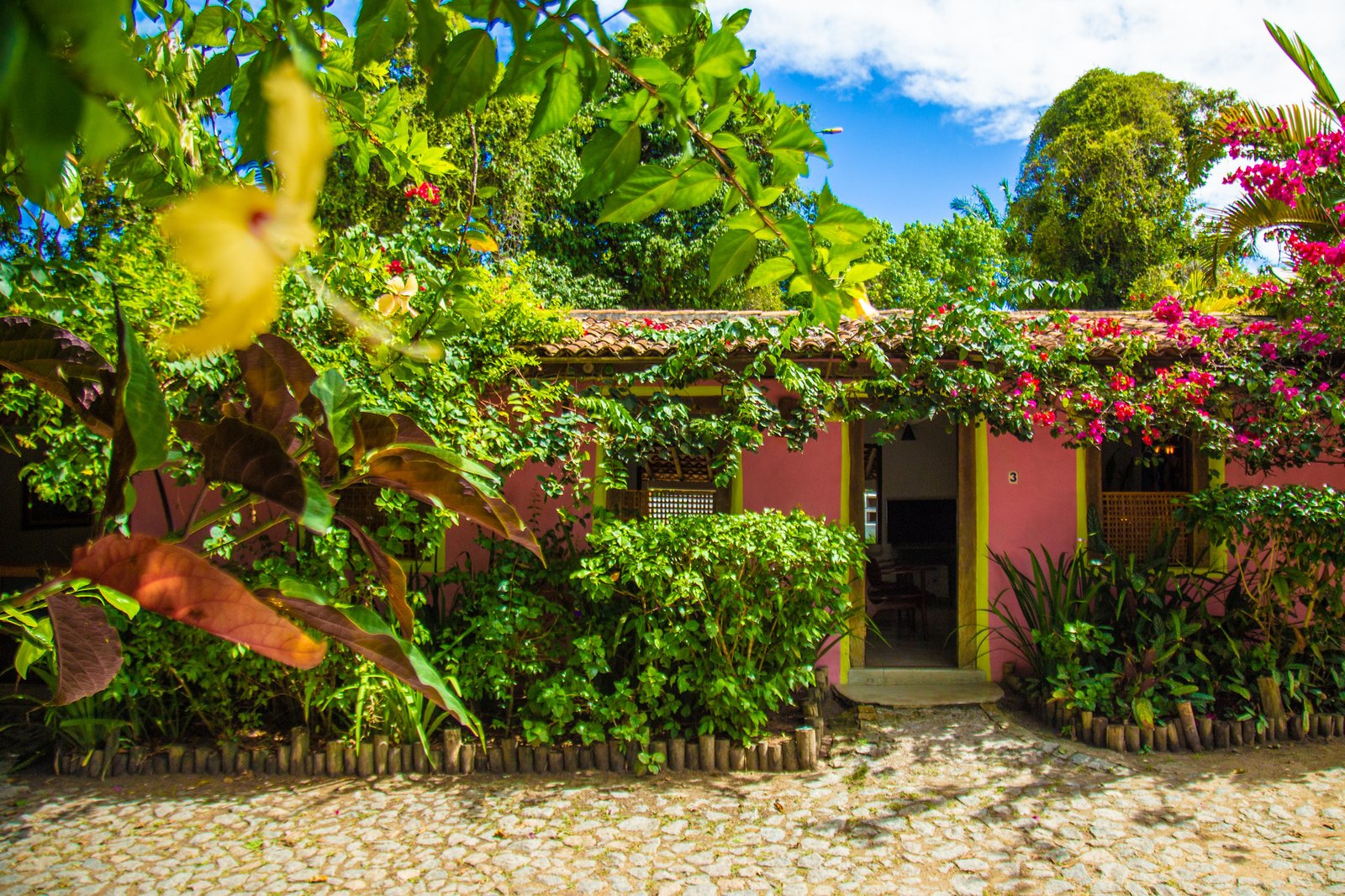 UXUA Casa Hotel & Spa, backstory