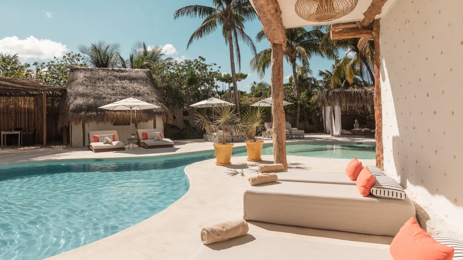 Ser Casasandra Holbox
