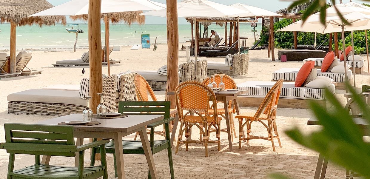 Ser Casasandra Holbox, at the table